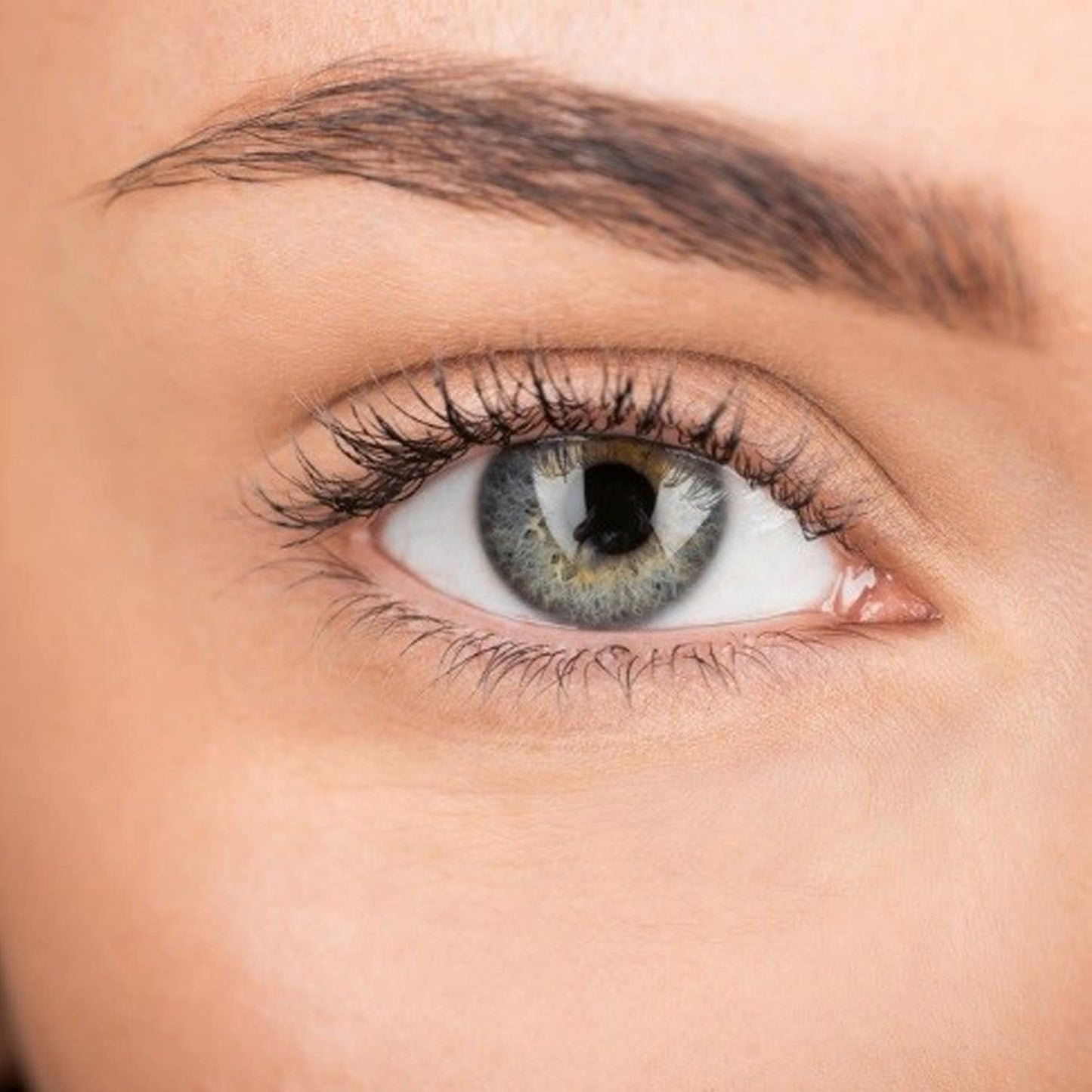 Accez Imported Original Face Razors