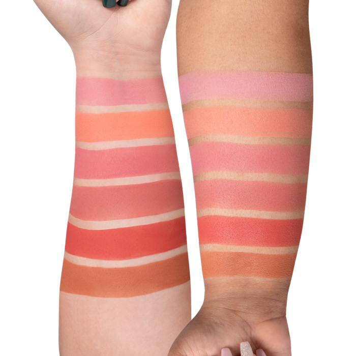 OFRA Mini Mix Face Palette - Charm Your Cheeks